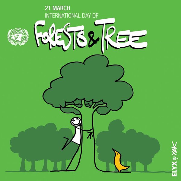 World celebrates International Day of Forests as China restores forests