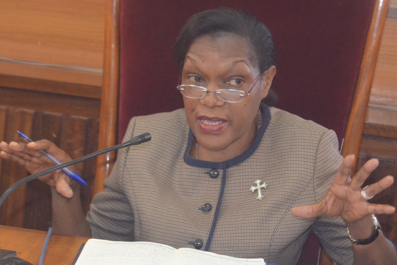 Parliament clarifies on the on-going Television and Radio project