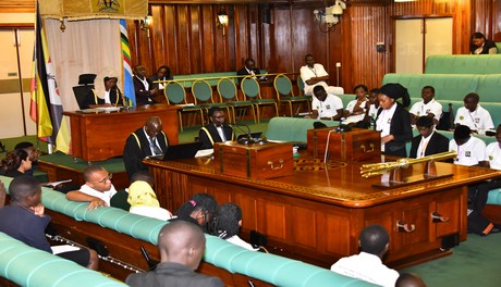 Youth Parliament urges African governments to strengthen laws on alcoholism and drug abuse 