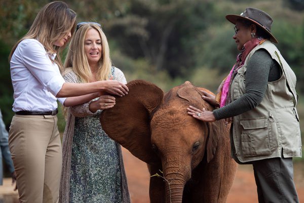 Melania Trump in Kenya, visits baby elephants