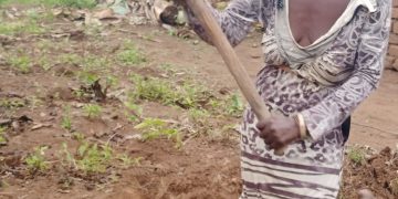 Left Behind Twice: Why the Uganda Women Entrepreneurship Programme (UWEP) Rarely Reaches Women Living with Disabilities